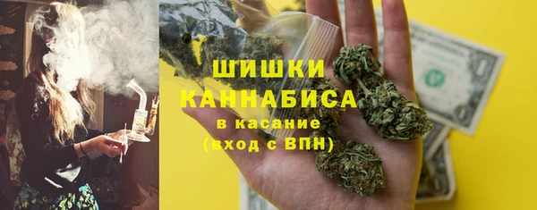 ГАЛЛЮЦИНОГЕННЫЕ ГРИБЫ Надым