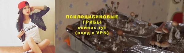 тгк Навашино