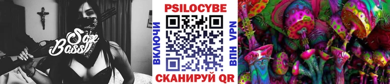 как найти закладки Тихорецк Галлюциногенные грибы Psilocybe