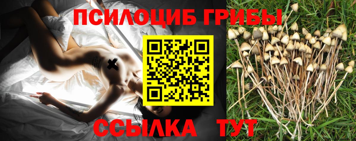 Галлюциногенные грибы Psilocybine cubensis  Вход с VPN  Тихорецк 