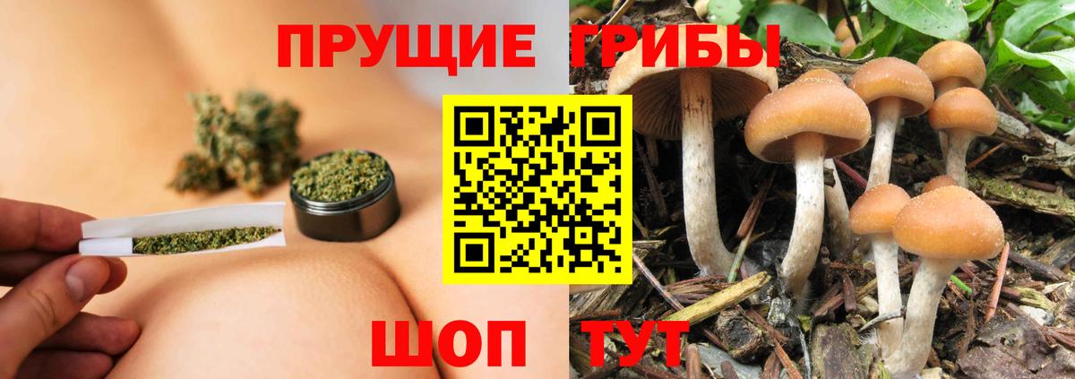 Галлюциногенные грибы мухоморы Тихорецк